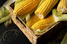 3 Tips Menanam Jagung agar Buahnya Besar