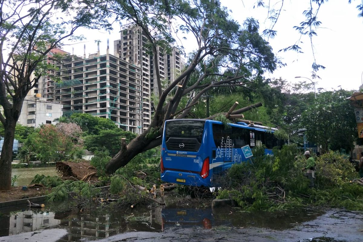 Sebuah pohon tumbang akibat angin kencang menimpa bus Transjakarta di dekat Halte Busway Ancol, Jakarta Utara pada Selasa (8/12/2020).