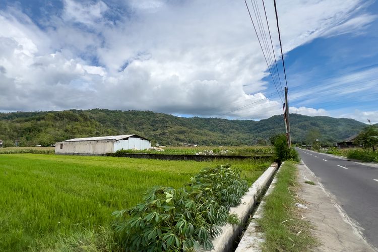 Cerita Warga Sekitar Lokasi Syuting Film Abadi Nan Jaya: Sawah Disewa, Jalan Ditutup