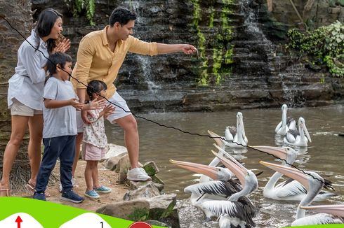 Wisata Anak di Bali, Lihat Atraksi Burung di Bali Bird Park