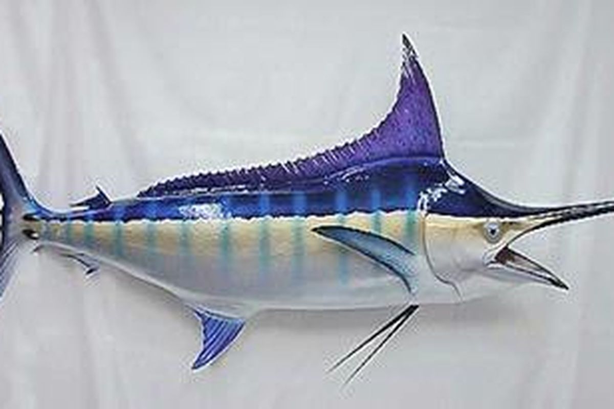 Blue Marlin