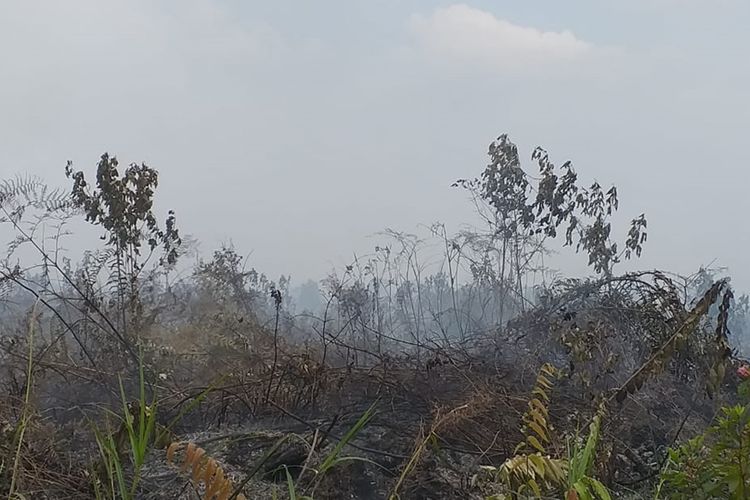 Kebakaran hutan dan lahan yang terjadi di Desa Rimbo Panjang, Kecamatan Tambang, Kabupaten Kampar, Riau, Senin (7/10/2019).