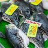 Apa itu Ikan Buntal? Ikan Mahal yang Beracun