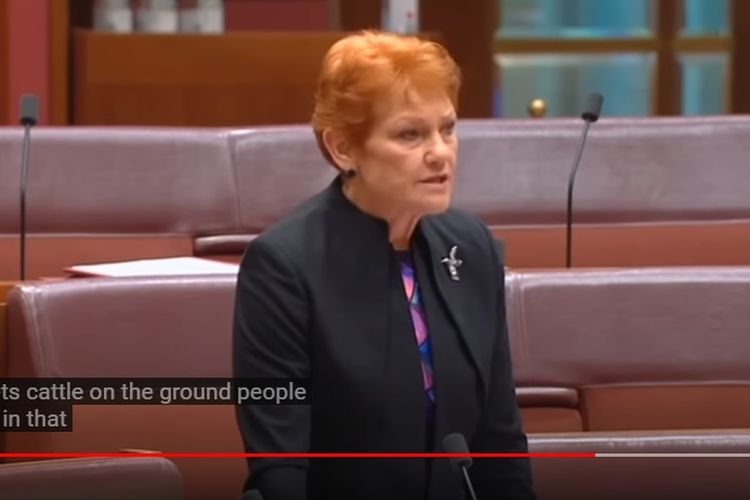 Tangkapan layar video Pauline Hanson saat menyebut kotoran sapi bertebaran di Bali.