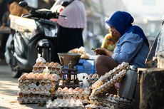 Harga Telur Terbaru di Berbagai Daerah di Indonesia, Tertinggi Capai Rp 41.333