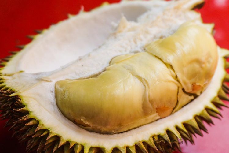 Ilustrasi durian, buah durian.