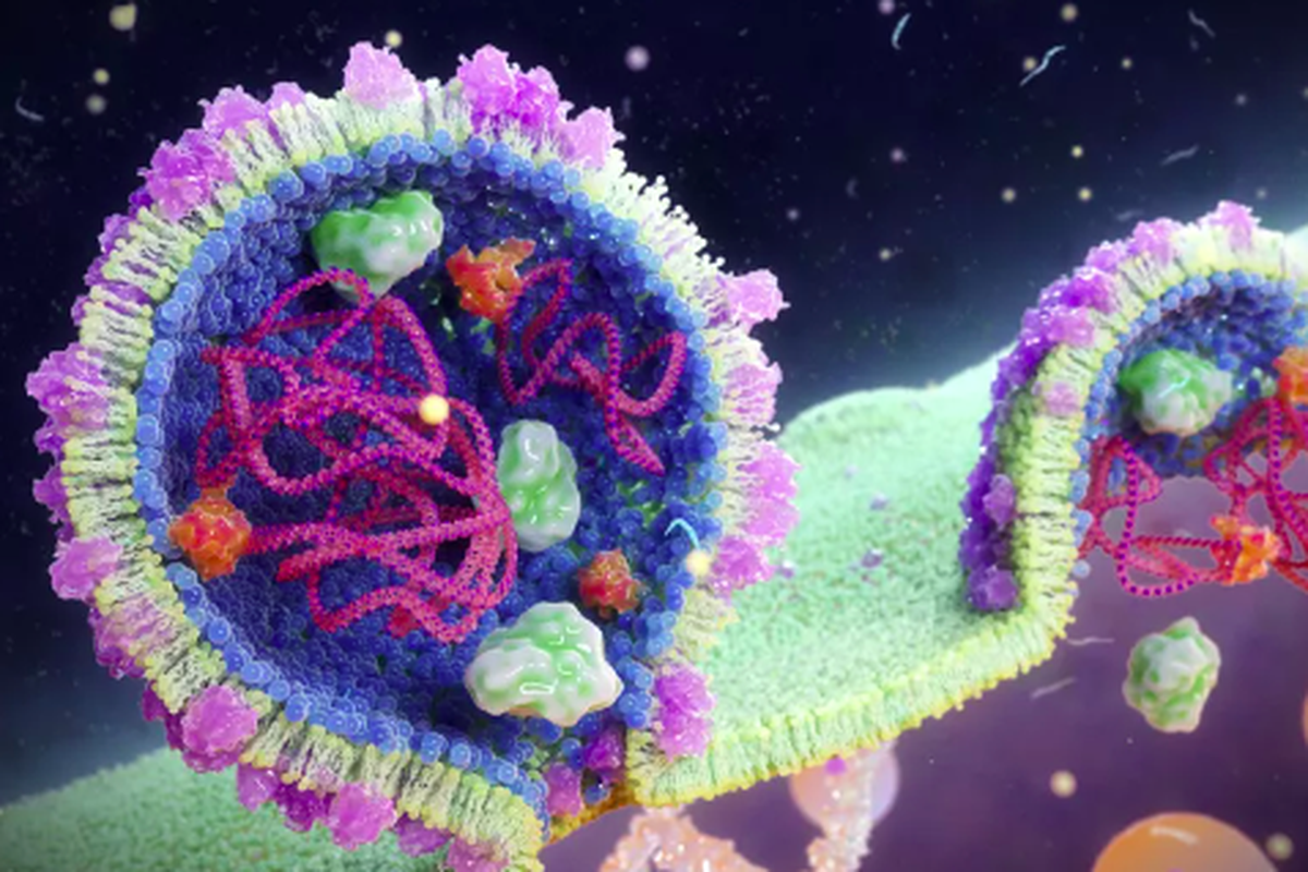 Virus RNA di lautan