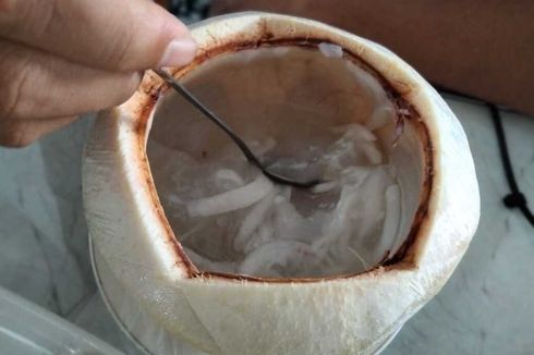 Cara Buat Kelapa Muda Sintetis, Bekal Bikin Es Kopyor dan Es Campur 