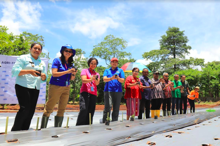 Plan Internasional (Plan Indonesia) meluncurkan Youth-Led  Agri Food bagi 400 perempuan muda Kabupaten Timor Tengah Selatan (TTS) di Desa Nuinbila, Kecamatan Mollo Selatan, Jumat (1/3/2024).