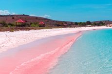 Pantai Pink Bima, Surga di Ujung Timur Pulau Sumbawa