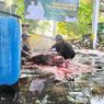 Giling Daging sampai Sore, Juleha Raup Rp 14 Juta Sehari Saat Idul Adha di Bangkalan