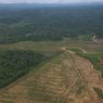 KLH Identifikasi Hutan di Aceh Dibuka untuk Sawit dan Tambang Ilegal
