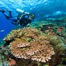 Tidak Bisa Berenang, Bolehkah Ikut Diving?
