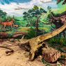 Wisata ke Museum Purbakala Sangiran Saat Pandemi, Ruang Pameran 2 Masih Tutup