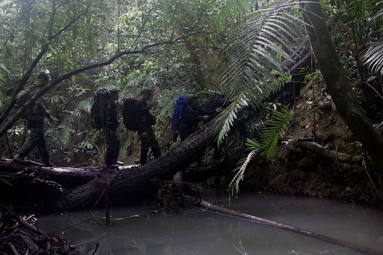 Ranjer sedang melakukan patroli di dalam hutan Kawasan Ekosistem lauser (KEL) Soraya, Kota Subulussalam, Aceh