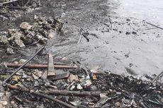Pesisir Bandar Lampung Tercemar Limbah, Walhi: Limbah Serupa Muncul di 2020 dan 2021