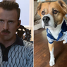 Chris Evans dan Anjingnya Kembaran Pakai Atasan 