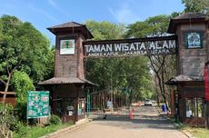 Cara ke Taman Wisata Alam Mangrove Angke Kapuk Naik TransJakarta