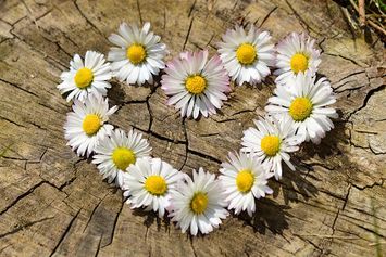 Korban Ghosting? Begini 7 Cara Menghadapi Ghosting Agar Cepat Move On