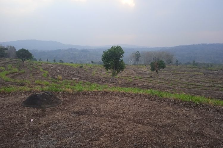 BMKG: Puncak Musim Kemarau Jawa Tengah Berlangsung hingga Oktober 2026