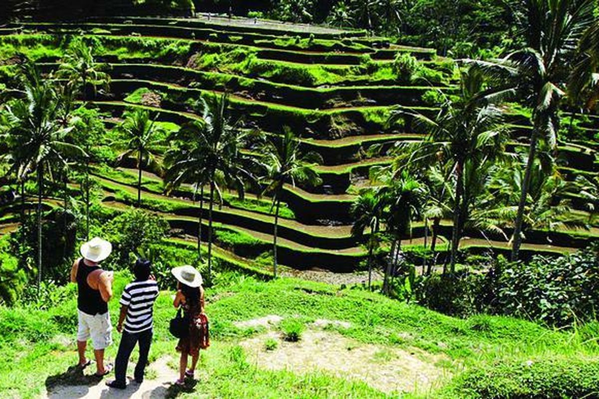 Wisatawan menikmati pemandangan persawahan di Tegalalang, Ubud, Bali, Minggu (24/1/2010). Selain budaya, panorama juga menjadi daya tarik utama pariwisata Pulau Dewata.