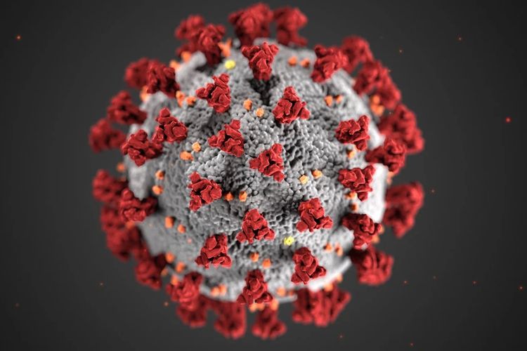 Alissa Eckert dan Dan Higgins, ilustrator dari Centers for Disease Control and Prevention, diminta untuk membuat ilustrasi virus corona yang mampu menarik perhatian publik.