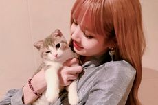 Lisa BLACKPINK Kejutkan Penggemar Lewat Sebuah Foto