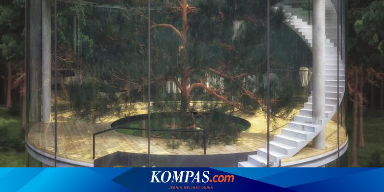 "Pohon di Rumah"... Desain Unik dan Cantik di Tengah Hutan ...