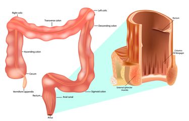 Rus er-xotin porno wtfpass