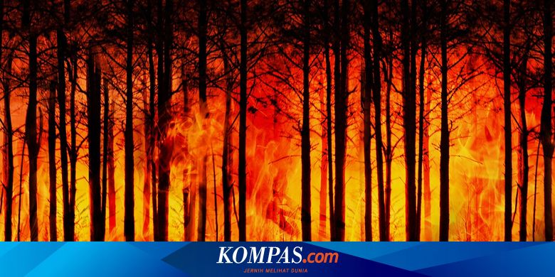Largest wildfire in history will hit Canada in 2024, what will happen to Indonesian citizens there?