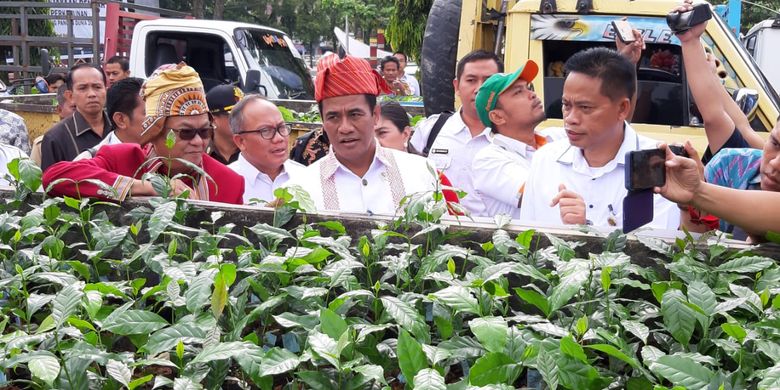 Di depan para petani Mentan Andi Amran Sulaiman menyatakan dengan bantuan bibit unggul ini pengembangan kopi di Toraja bisa menaikkan produkvitasnya, dari 0,3 ton menjadi 3,5 sampai 4 ton per hektar per tahun. 