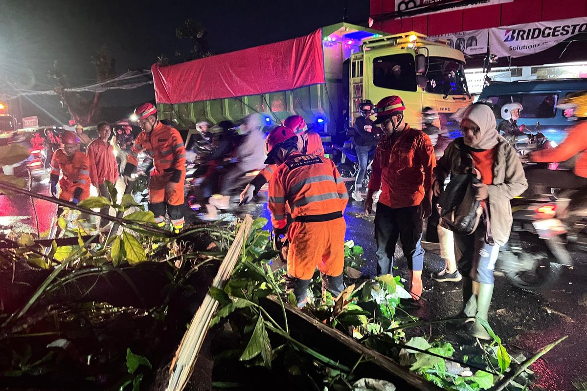 Petugas BPBD Kota Bogor saat mengevakuasi pohon tumbang di Jalan KS Tubun, Cibuluh, Bogor Utara, Kota Bogor, Jawa Barat, Rabu (13/6/2024) malam. Peristiwa ini menyebabkan seorang pengendara sepeda motor tewas tertimpa pohon 