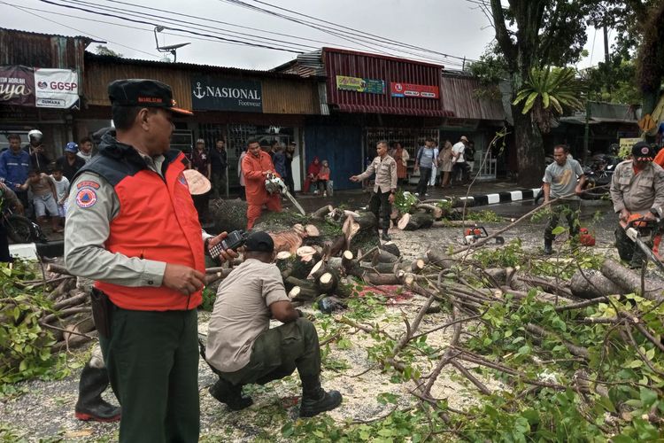 Pohon tumbang menimpa pengendara ojek online sehingga tewas, Senin (8/5/2023)