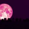 Nanti Malam, Ada Bulan Purnama Strawberry dan Gerhana Bulan Penumbra