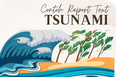 Contoh Report Text tentang Tsunami dan Terjemahannya