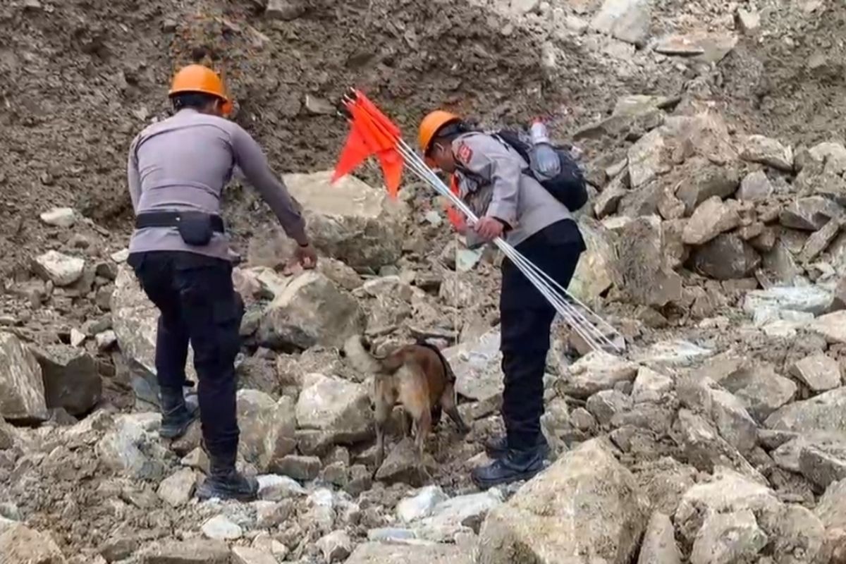 Sejumlah petugas unit Satwa Dir Samapta Polda Jawa Barat menanapkan bendera di titik yang terendus anjing pelacak pada hari kelima di longsor gunung kuda Kabupaten Cirebon Jawa Barat, pada Selasa (3/6/2025) siang.