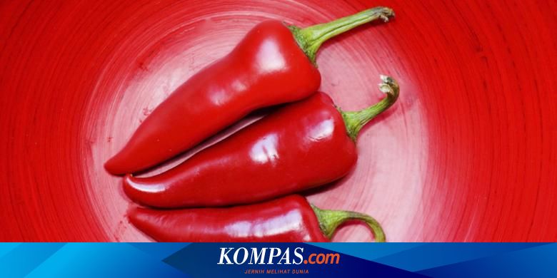 Biji Cabai Dan Biji Jambu Bisa Jadi Penyebab Usus Buntu Mitos