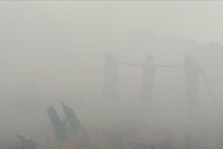 Petugas kepolisian dan TNI memadamkan api karhutla di tengah kabut asap di Desa Teluk Bano II, Kecamatan Pekaitan, Kabupaten Rohil, Riau, Rabu (3/7/2019).