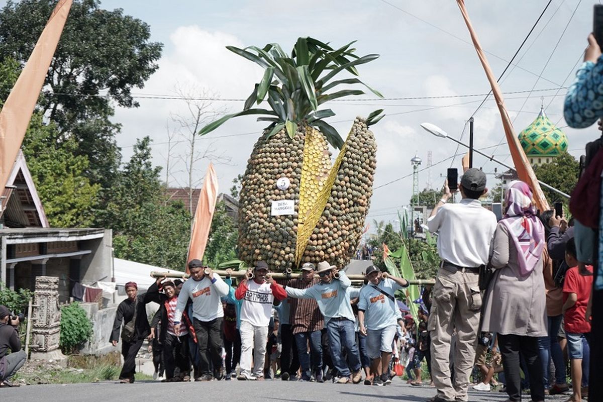 Pada Minggu (7/5/2023) pagi, sebanyak 13 tumpeng nanas diarak mulai dari Balai Desa Sugihwaras hingga ke lokasi rest area tempat Pineapple Festival digelar. Seluruh tumpeng nanas tersebut berasal dari desa di lereng Gunung Kelud yang merupakan sentra penghasil buah nanas.