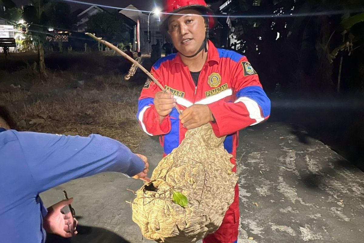 Damkar Karanganyar Lebih Sering Tangkap Tawon daripada Padamkan Api