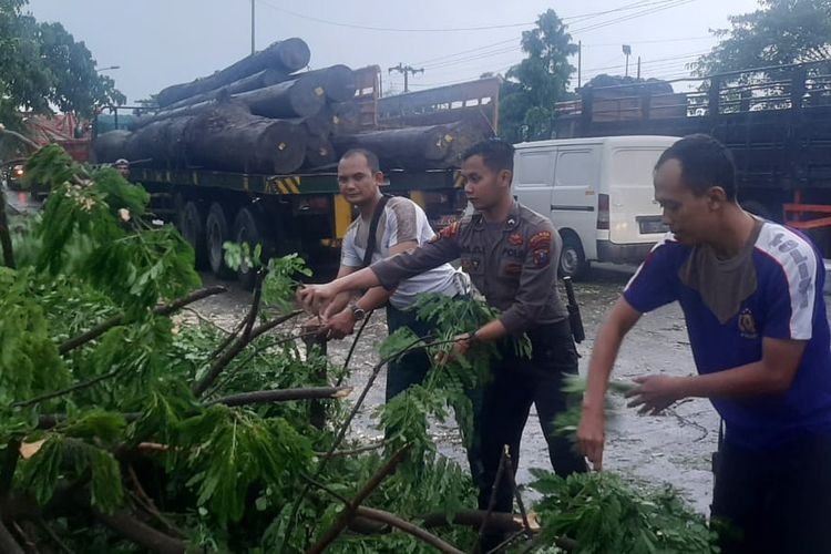 Petugas kepolisian saat membersihkan pohon tumbang yang sempat menutupi ruas Jalan Raya Gresik-Lamongan, di depan Desa Tumapel, Kecamatan Duduksampeyan, Gresik, Jawa Timur, Selasa (29/11/2022).