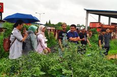 FEB UI, FarmHill Academy, dan KBRI Korsel Berdayakan PMI untuk Bertani Hidroponik