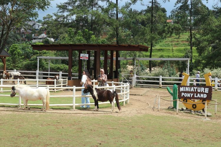 Dairyland Farm Theme Park Puncak