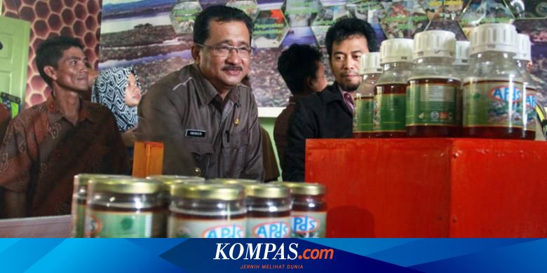 8 Fakta Menarik Rumah Betang Uluk Palin Di Kalbar Sudah Tahu