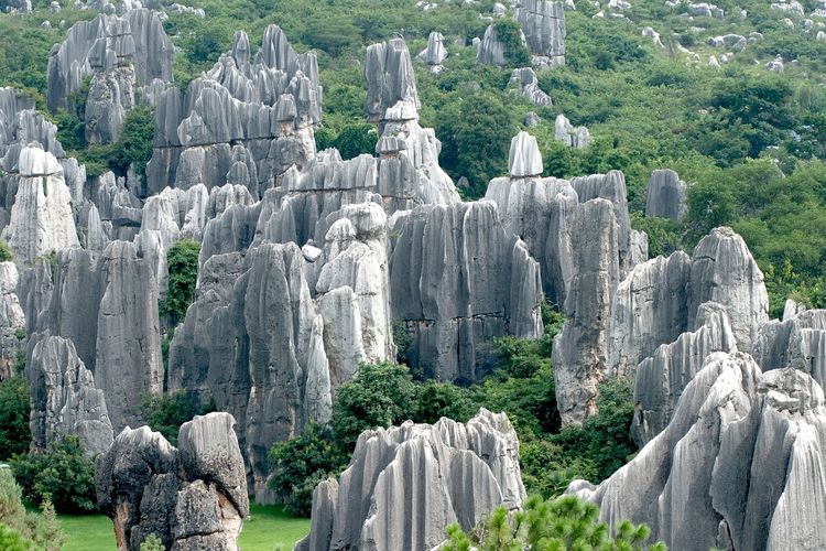 Ilustrasi Stone Forest atau Shilin di Kunming, China.