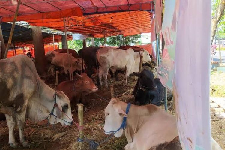 Pemerintah Kota Semarang, Jawa Tengah perketat peredaran daging untuk cegah persebaran penyakit antraks 