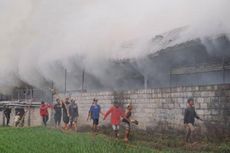 Peternakan di Kabupaten Malang Terbakar, 60.000 Ayam Hangus Terpanggang