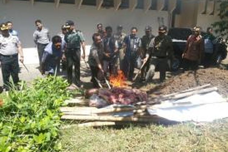 Wali Kota Magelang, Sigit Widyonindito, dan jajarannya memusnahkan ratusan kilogram daging sapi glonggongan di halaman kantor Satpol PP setempat, Selasa (30/6/2015).