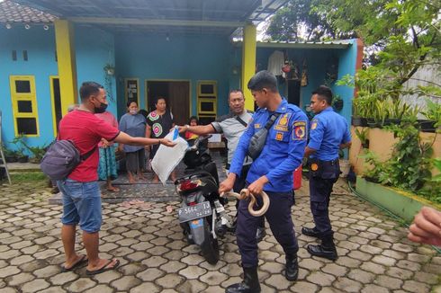 Evakuasi Ular Kobra dari Sangkar Burung, 3 Warga Jember Kena Sembur Bisa di Bagian Mata