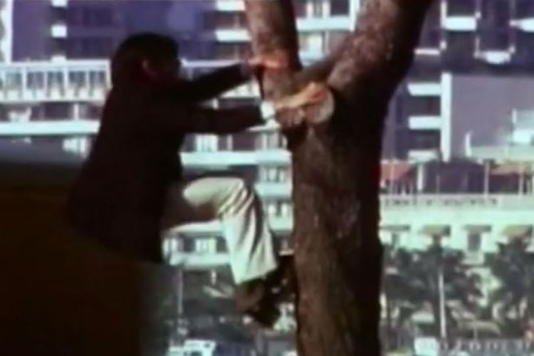 Marcos Rodriguez Pantoja, pria yang mengklaim dibesarkan oleh serigala, ketika memanjat pohon.